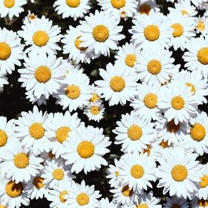 比基尼大乳少妇欧美被强奸
