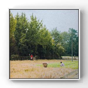 比基尼大乳少妇欧美被强奸
